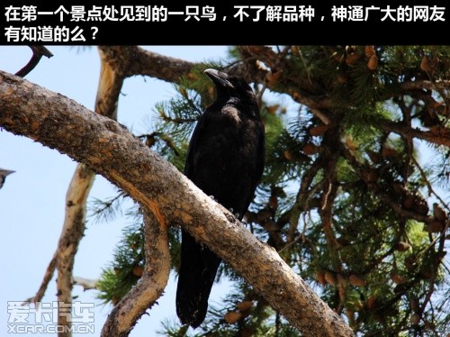 黄石游记