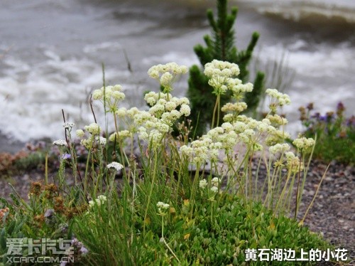黄石游记