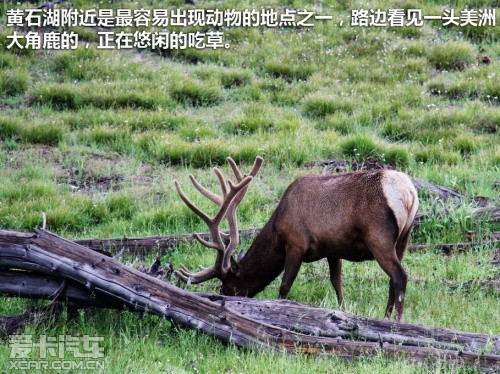 黄石游记