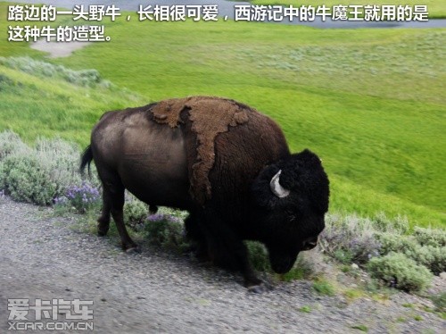 黄石游记