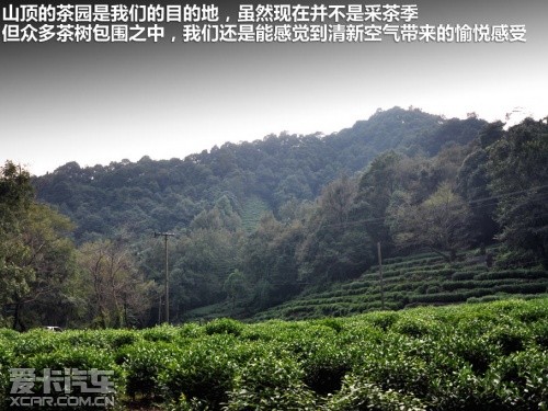 小门脸大文化 奥迪A1五门版游别样杭州