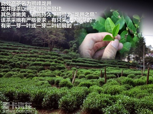 小门脸大文化 奥迪A1五门版游别样杭州