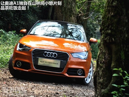 奥迪2013款奥迪A1