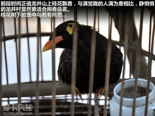 小门脸大文化 奥迪A1五门版游别样杭州