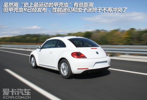 大众甲壳虫