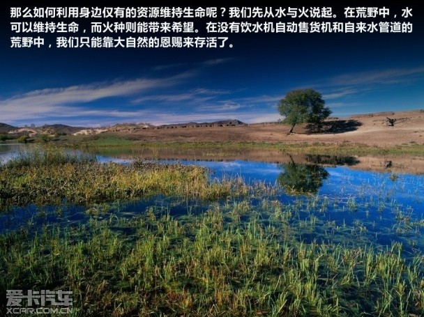 生存 四