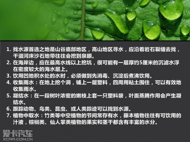 生存 四