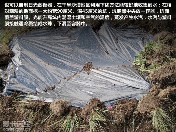 生存 四