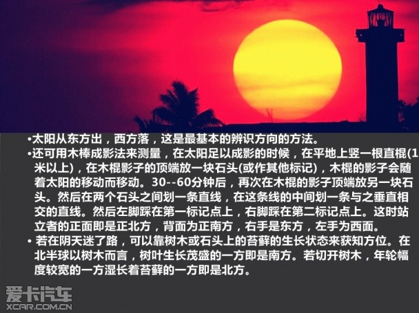 生存 四
