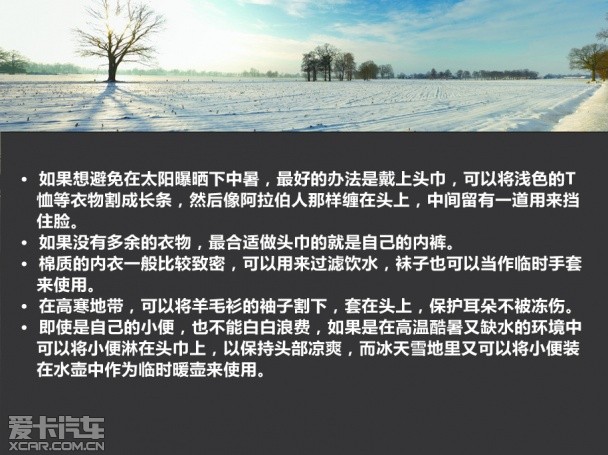 生存 四