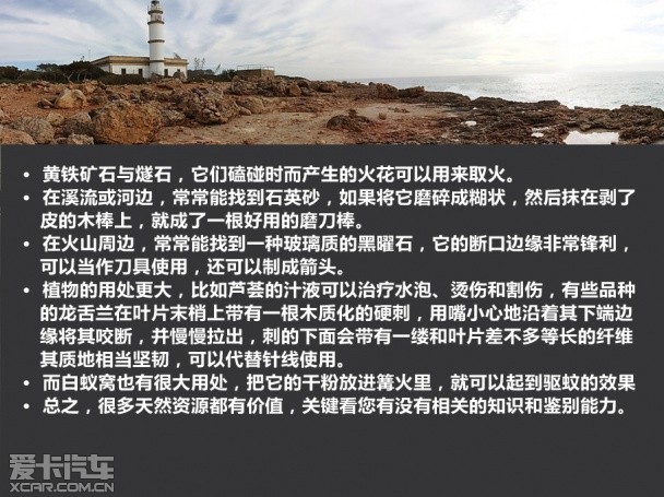 生存 四