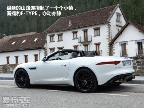 山上的大猫 F-TYPE V8S