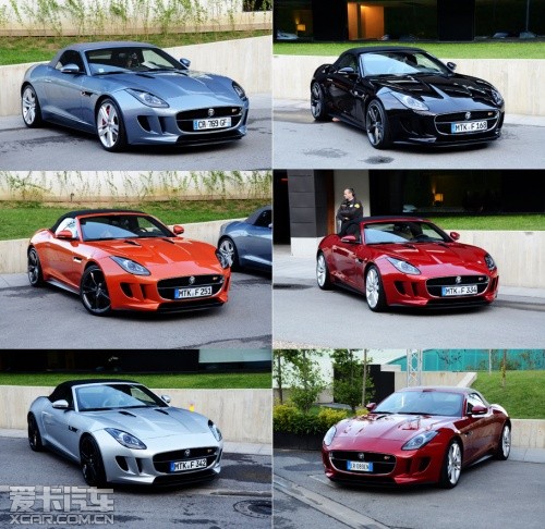 山上的大猫 F-TYPE V8S