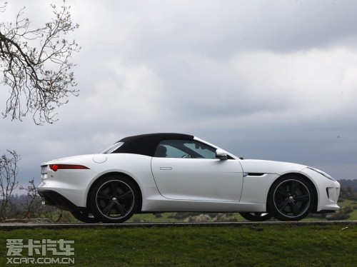 山上的大猫 F-TYPE V8S
