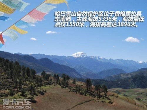 奥迪2013款奥迪A8L混合动力