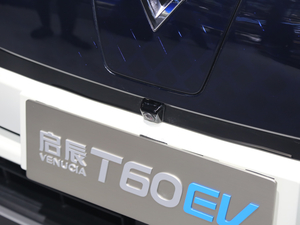 2020T60 EV Ϻչ