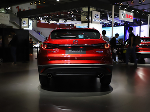 2020ԴCX-4 Ϻչ