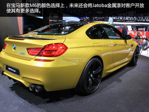M6˫