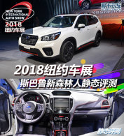 2018ŦԼչ ˹³ɭ˾̬