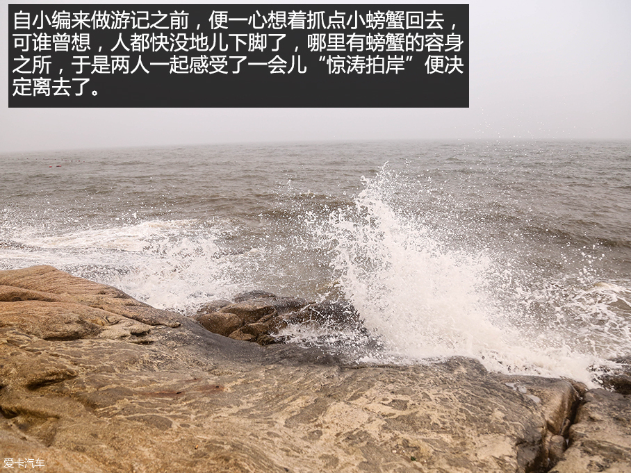 翼搏运动典藏版