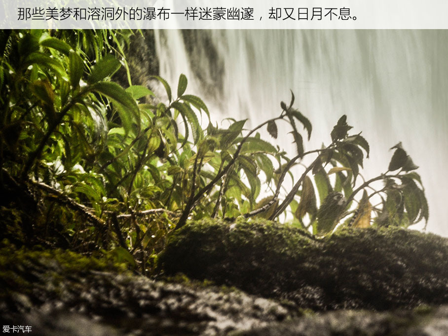 长安福特2016款锐界