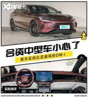 �������ͳ�С���� ʵ�ı��ǵϺ���DM-i