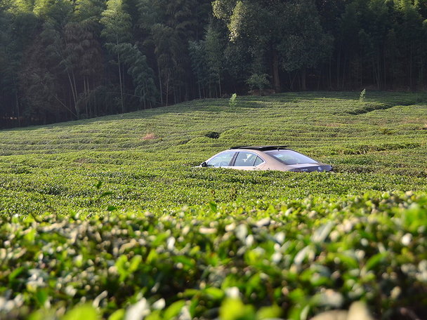 速派莫干山游记