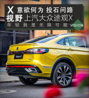 X��Ұ ��������;��X������Ϊ Ͷʯ��·