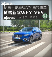 �Լ�2021��WEY VV5 ��ֵ����/��������