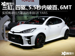 ʵ�ķ���GR YARiS ��&middot;��ϵ&ldquo;С&rdquo;����