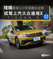 �������ڿֽ����� �����Լ�����;��X