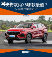 ����ŷ��X5�����ֲ� ��׼����;Ͷ���