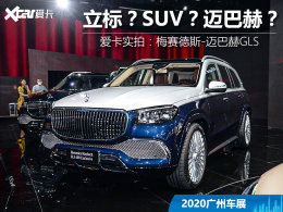 2020���ݹ��ʳ�չ ʵ��ȫ�����ͺ�GLS��