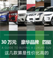 30��Ԫ��ͷ����ӵ�еĺ���Ʒ������SUV