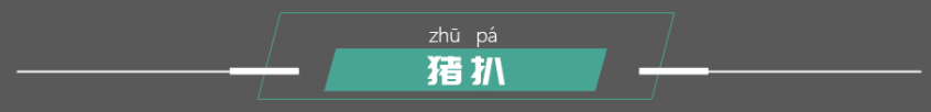经典车型绰号你认识吗?