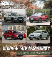 û�зǳ���ʽ���� �⼸��SUV������ȥҰ