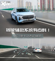 ����ֱ׷��˹�� ����Ħ����ʻ����ϵͳ