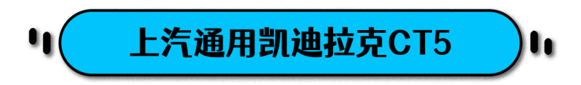 性价比之选