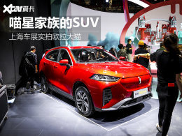 èϵSUV��ֻ��ɽè ŷ����è��̬����