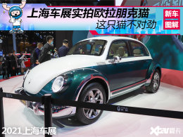��ֻè���Ծ� �Ϻ���չʵ��ŷ�����è