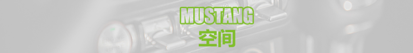 测试新Mustang