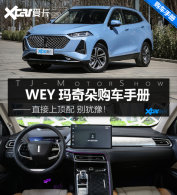WEY����乺���ֲ� �����һ����ʦ�棡