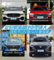 ��̽������ �⼸��PLUS��SUV���ʺϼ���