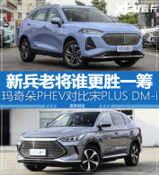 ����ļ�ǿ �����PHEV�Ա���PLUS DM-i