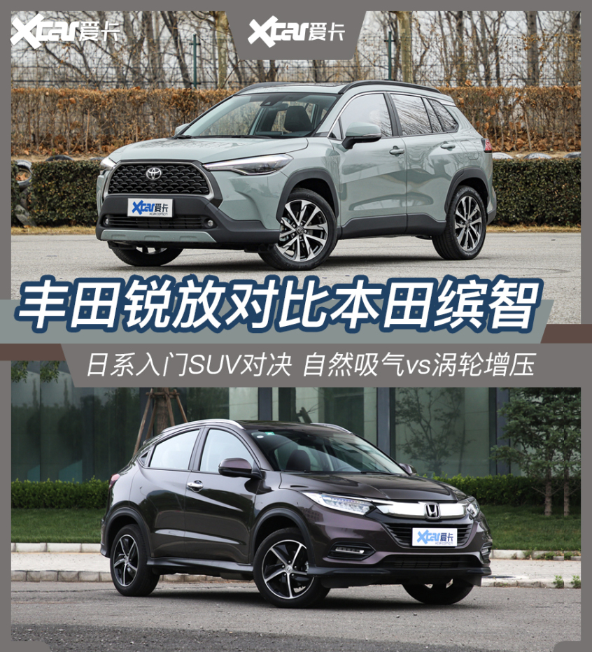 锐放对比缤智
