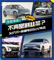 30��+�߶˴���SUV��ѡ 2022����²ˣ�