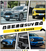 ���ʽ��ռ�SUV�̵� �������� Ϊ�����