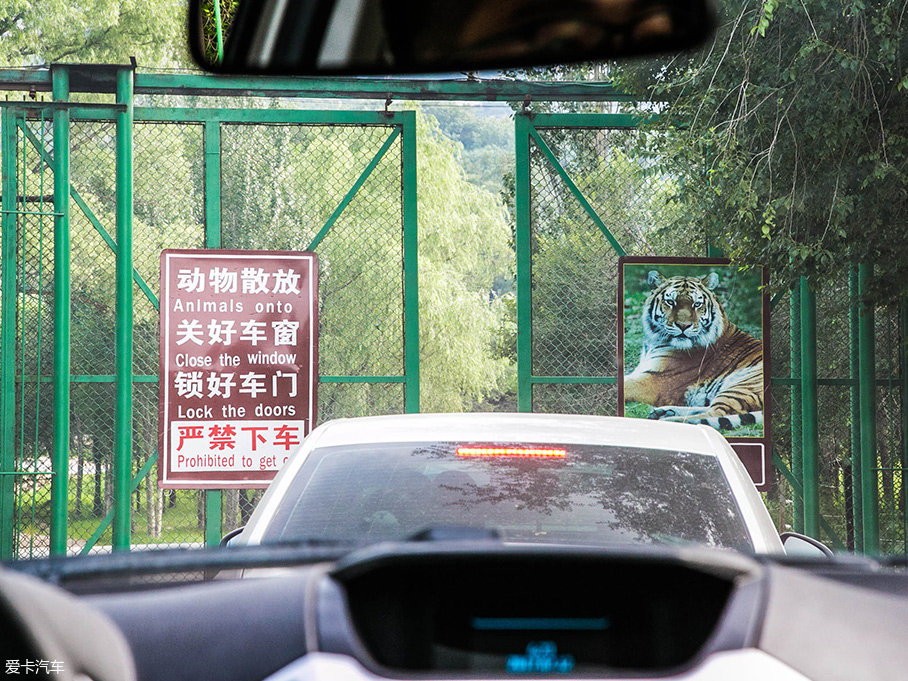 翼搏情景剧