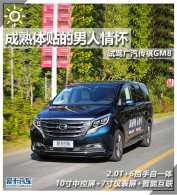 ���������������黳 �Լݹ�������GM8