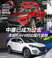 ӹѳΪȥ RAV4Աִ;ʤ